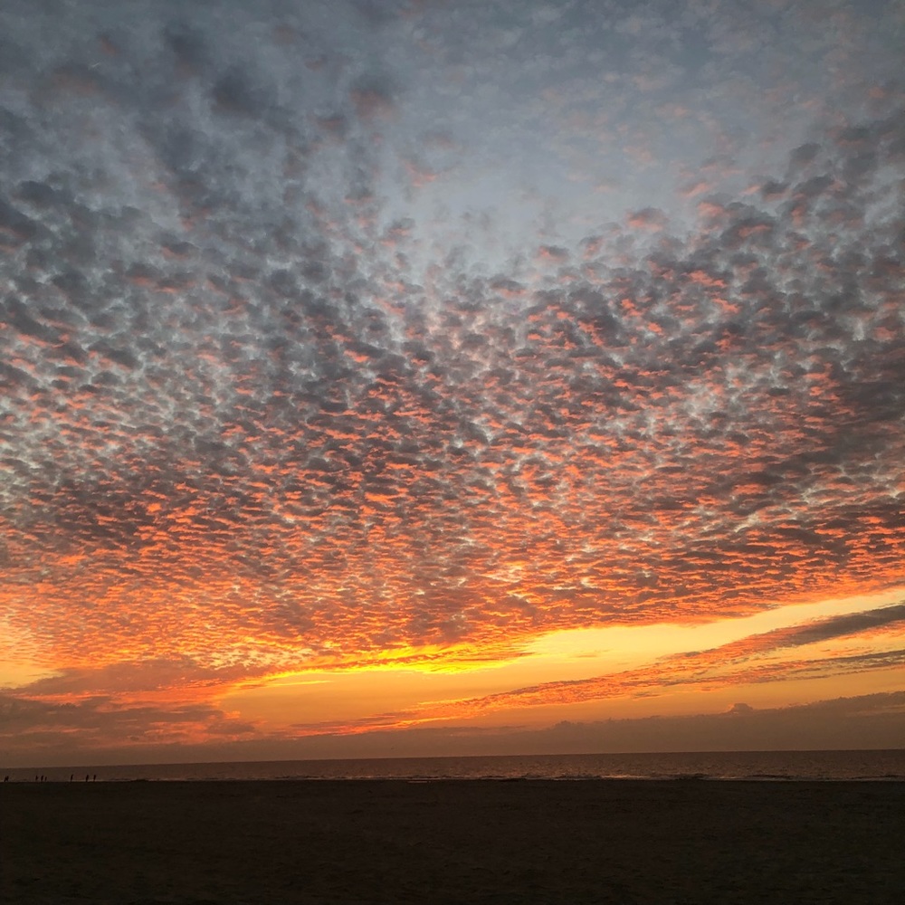 Meet your Posher, Maureen